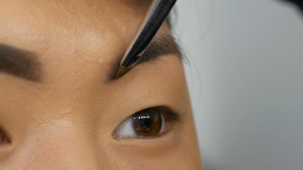 Artista de maquiagem profissional pinta sobrancelhas no rosto de um modelo de mulher asiática coreana com escova especial . — Vídeo de Stock