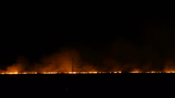 Schrecklicher wilder Großbrand am Horizont in der Nacht auf dem Feld. — Stockvideo