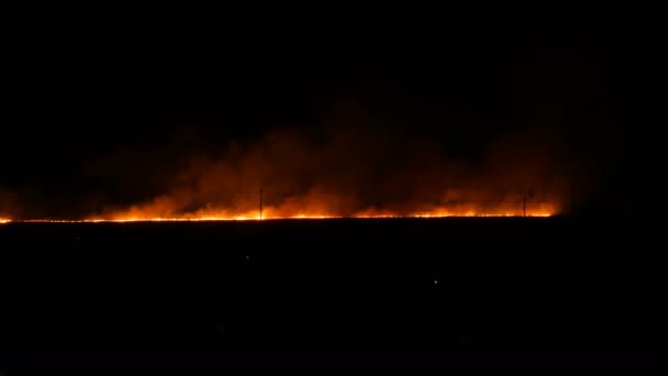 Terrible fuego salvaje enorme en el horizonte en la noche en el campo . — Vídeos de Stock