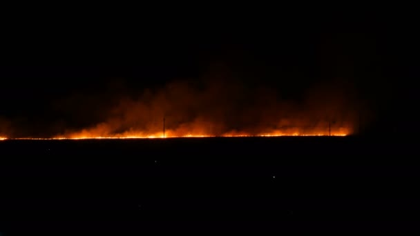 Schrecklicher wilder Großbrand am Horizont in der Nacht auf dem Feld. — Stockvideo