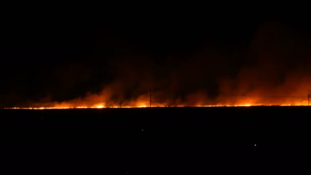 Schrecklicher wilder Großbrand am Horizont in der Nacht auf dem Feld. — Stockvideo