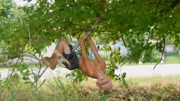 The five-year blonde funny dirty child hanging on a tree branch in the countryside a summer day. Child in nature — Stock Video