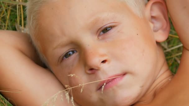 Portret zabawny przystojny pięcioletni chłopiec dziecko blond z brudną twarzą leżącą na trawie z rękami za głowę i żucia słomy w wiosce w letni dzień — Wideo stockowe