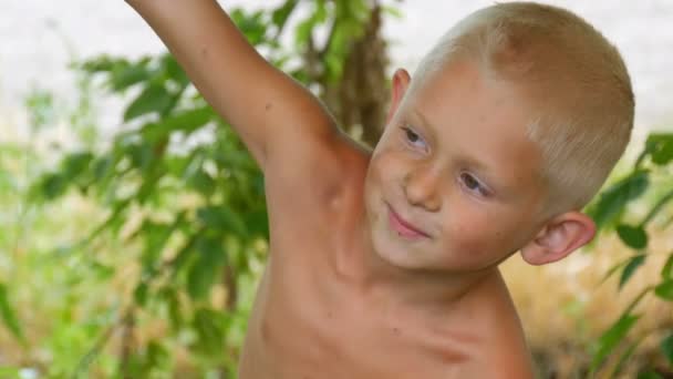 Az öt éves szőke vicces piszkos gyermek lógott egy fa ága a vidéken egy nyári napon. A gyermek a természetben — Stock videók