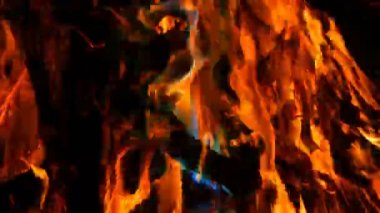 Mistik sihirli gökkuşağı yangın çok renkli alevler renk değiştirir. Şenlik ateşi koyu arka planda birçok renkte yanıyor