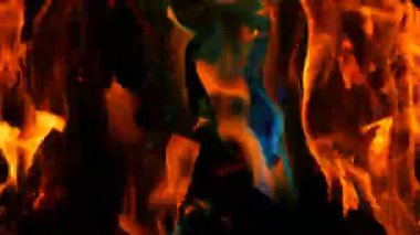 Mistik sihirli gökkuşağı yangın çok renkli alevler renk değiştirir. Şenlik ateşi koyu arka planda birçok renkte yanıyor