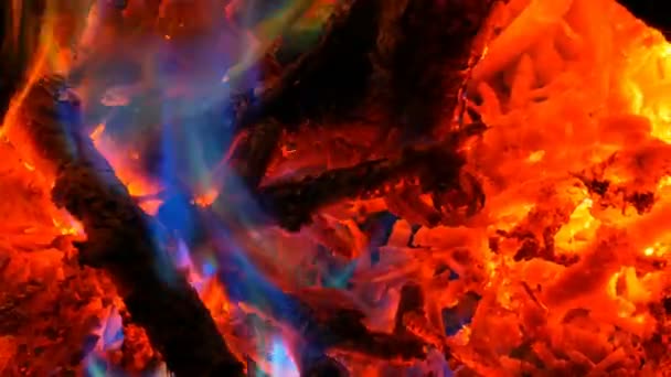 Das mystische magische Regenbogenfeuer verwandelt seine Farbe in mehrfarbige Flammen. Lagerfeuer brennt in vielen Farben vor dunklem Hintergrund — Stockvideo