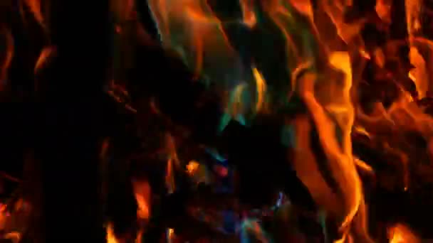 Mystický kouzelný duhový oheň mění barvu na vícebarevné plameny. Bonfire hoří v mnoha barvách na tmavém pozadí — Stock video