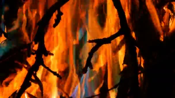 Das mystische magische Regenbogenfeuer verwandelt seine Farbe in mehrfarbige Flammen. Lagerfeuer brennt in vielen Farben vor dunklem Hintergrund — Stockvideo
