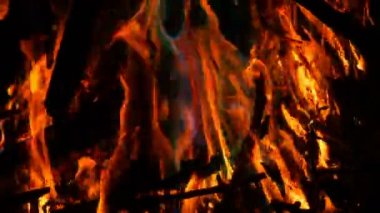 Mistik sihirli gökkuşağı yangın çok renkli alevler renk değiştirir. Şenlik ateşi koyu arka planda birçok renkte yanıyor