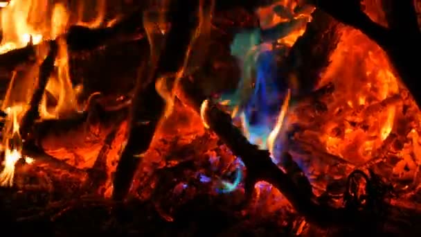 रहस्यमय जादू इंद्रधनुष्य अग्नि बहु रंगीबेरंगी ज्वालांचा रंग बदलतो. गडद पार्श्वभूमीत अनेक रंगांमध्ये बोनफायर बर्न — स्टॉक व्हिडिओ