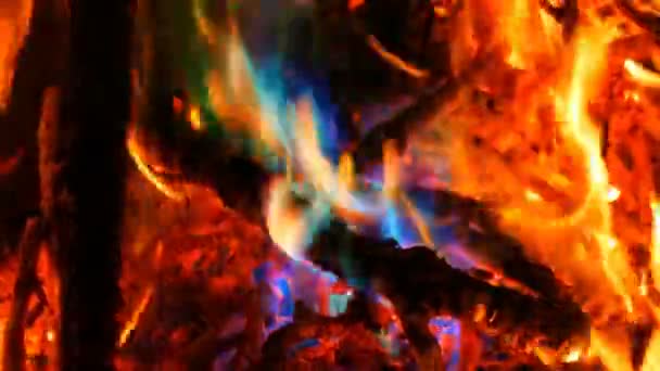 El fuego mágico místico del arco iris cambia de color a llamas multicolores. Hoguera quema en muchos colores en el fondo oscuro — Vídeos de Stock