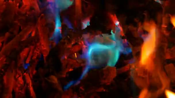 Mystical magic rainbow fire changes color to multicolor flames. Bonfire burns in many colors in dark background — Stock Video