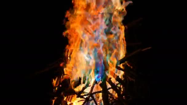 神秘的魔法彩虹火改变颜色多彩火焰。篝火在黑暗的背景中燃烧着许多颜色 — 图库视频影像