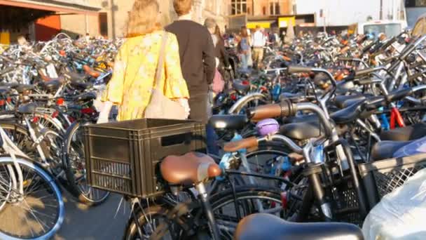 Amsterdam, Nederländerna-april 21, 2019: parkering för cyklar. Många olika cyklar parkerade på en gata i speciella parkeringsplatser. Problemet med cykel överbelastning i landet — Stockvideo