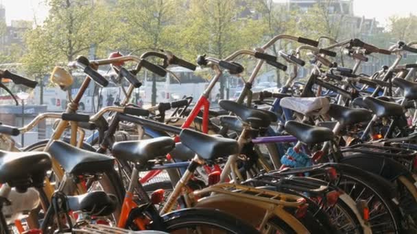 Ámsterdam, Países Bajos - 21 de abril de 2019: Aparcamiento para bicicletas. Muchas bicicletas diferentes estacionadas en una calle en estacionamientos especiales. El problema de la sobrecarga de bicicletas en el país — Vídeo de stock