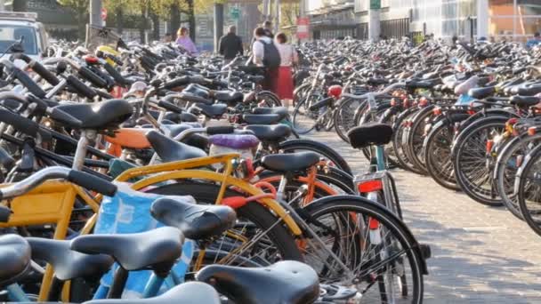 Amsterdão, Holanda - 21 de abril de 2019: Estacionamento para bicicletas. Muitas bicicletas diferentes estacionadas em uma rua em estacionamentos especiais. O problema da sobrecarga de bicicletas no país — Vídeo de Stock