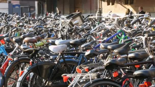 Amsterdam, Nederländerna-april 21, 2019: parkering för cyklar. Många olika cyklar parkerade på en gata i speciella parkeringsplatser. Problemet med cykel överbelastning i landet — Stockvideo