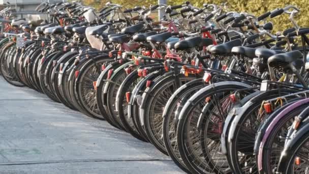 Amsterdam, Holandia-21 kwietnia 2019: parking dla rowerów. Wiele różnych rowerów zaparkowanych na ulicy na specjalnych parkingach. Problem przeciążenia roweru w kraju — Wideo stockowe