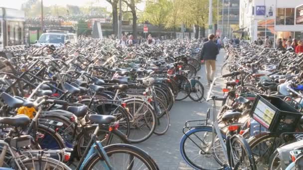 Ámsterdam, Países Bajos - 21 de abril de 2019: Aparcamiento para bicicletas. Muchas bicicletas diferentes estacionadas en una calle en estacionamientos especiales. El problema de la sobrecarga de bicicletas en el país — Vídeos de Stock