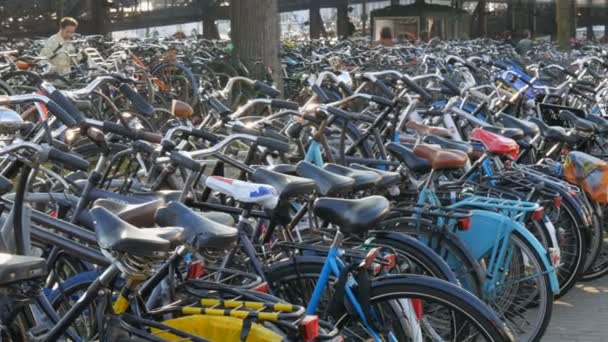 Amsterdam, Niederlande - 21. April 2019: Abstellplatz für Fahrräder. viele verschiedene Fahrräder, die auf einer Straße auf speziellen Parkplätzen abgestellt sind. das Problem der Fahrradüberlastung im Land — Stockvideo