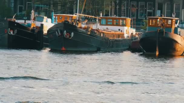 Amsterdamské kanály, na kterých jsou kotvícové čluny. Autentické nizozemské domy a ulice hlavního města Nizozemska — Stock video