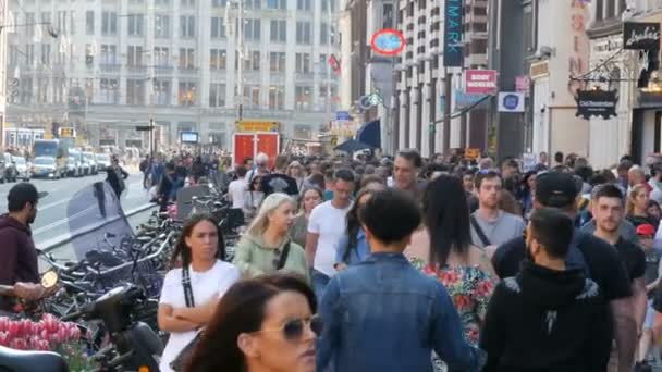 荷兰阿姆斯特丹 - 2019年4月21日：一群人沿着阿姆斯特丹的主要街道从火车站走到水坝广场 — 图库视频影像