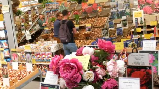 Amsterdam, Paesi Bassi - 23 aprile 2019: souvenir di fiori olandesi. Lampadine di vari tulipani su un bancone del negozio sul fiore o sul mercato . — Video Stock