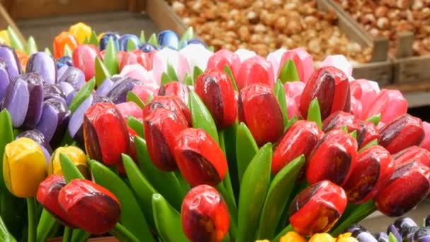 Дерев'яні різнокольорові тюльпани, сувеніри та символи Голландії — стокове відео