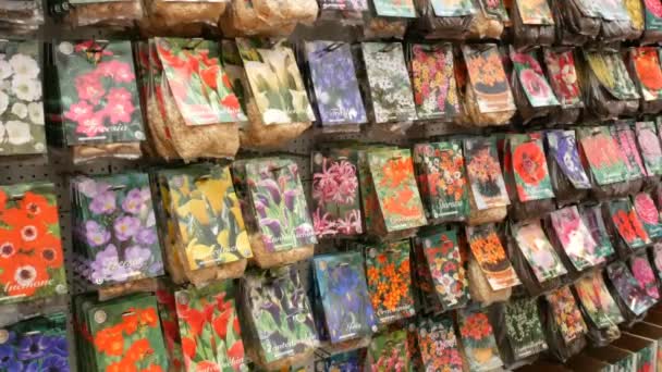 Ámsterdam, Países Bajos - 23 de abril de 2019: souvenirs de flores de Holanda. Los bulbos y las raíces de los colores distintos en el mostrador de la flor o el mercado flotante — Vídeos de Stock