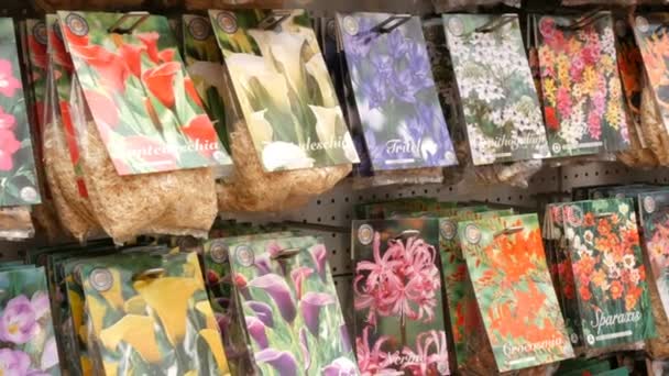 Amsterdam, Paesi Bassi - 23 aprile 2019: souvenir di fiori olandesi. Lampadine e radici di vari colori su un bancone del mercato floreale o galleggiante — Video Stock