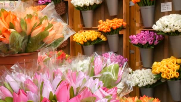 Kunstmatige onbezielde bloemen op winkel teller — Stockvideo