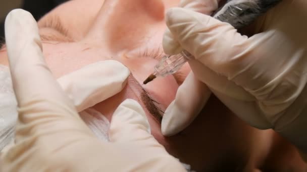 Trägt der Kosmetikmeister Pigmente auf farbige Augenbrauen auf. Augenbrauenkorrektur mit Microblading. Tätowierung, permanentes Make-up, Pudersprühen aus nächster Nähe — Stockvideo