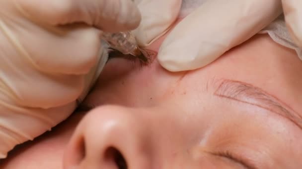 Nieuwe wenkbrauwvorm. De cosmetoloog brengt een pigment aan om de wenkbrauwen te kleuren met behulp van speciale pen voor microblading. Tatoeage, permanente make-up, poederspray — Stockvideo