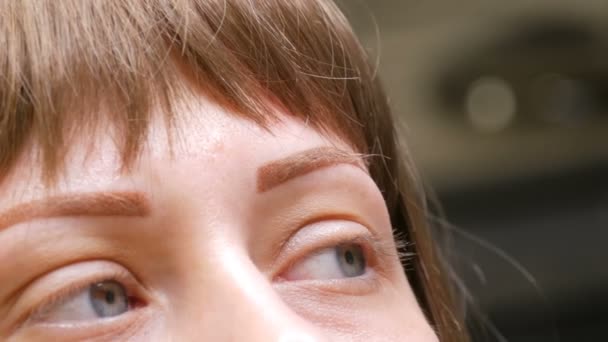 Clolse o retrato de uma jovem mulher em uma sala de cometologia com uma pulverização em pó microblading acabou de fazer a correção da sobrancelha. Maquiagem permanente. Tatuagem Novas tecnologias em cosmetologia — Vídeo de Stock