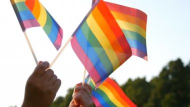 Lgbt Gay lezbiyen travesti hakları aktivizm aşk eşitliği ve özgürlük gökkuşağı bayrakları yeşil çimlerin ve ormanın arka planında güneşli yaz gününde.