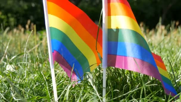 Symbol für schwul-lesbische Transgender-Rechte, Aktivismus lieben Gleichberechtigung und Freiheit Regenbogenfahnen auf dem Rasen, die an warmen Sommertagen im Wind schwanken