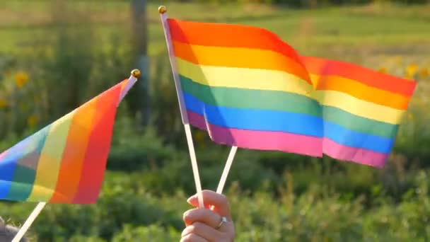 Manos femeninas sosteniendo banderas de arco iris sobre un fondo de hierba verde y bosque en el día soleado de verano. Símbolo de LGBT Gay lesbiana transgénero queer derechos, activismo amor igualdad y libertad — Vídeos de Stock