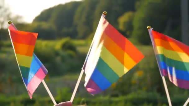 Symbol für lgbt schwul lesbische Transgender queere Rechte, Aktivismus Liebe Gleichheit und Freiheit Regenbogenfahnen auf dem Hintergrund von grünem Gras und Wald an einem sonnigen Sommertag.