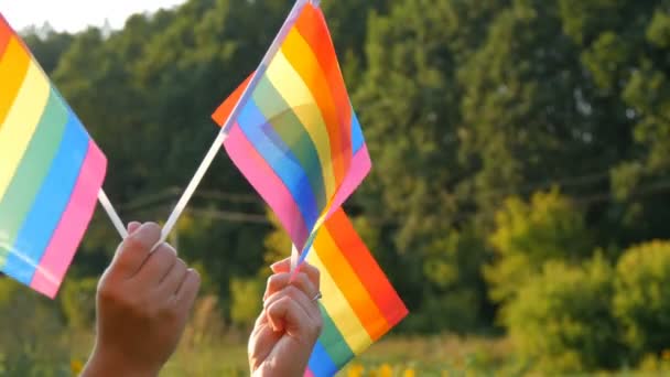 Lgbt Gay lezbiyen travesti hakları aktivizm aşk eşitliği ve özgürlük gökkuşağı bayrakları yeşil çimlerin ve ormanın arka planında güneşli yaz gününde. — Stok video