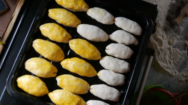 Silikon-Küchenbürste schmiert längliche Teigbällchen mit einem geschlagenen Ei für das hausgemachte Backen. Teig auf Backblech mit schwarzer Farbe — Stockvideo