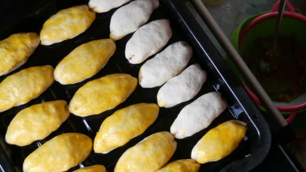 Een rij langwerpige bolletjes deeg op een bakplaat, klaar om in de oven te bakken. Vrouwelijke hand smelt een geklopt ei met speciale keuken siliconen borstel — Stockvideo