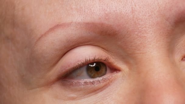 Close-up view of part of the face before eyebrow correction procedure. A face without eyebrows, old, faded eyebrow tattoo. Microblading, tattooing, powder spraying, permanent makeup close up view — Stock Video