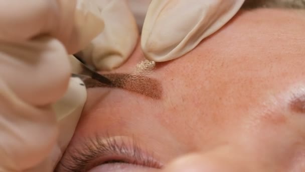 Der Kosmetologe trägt mit Hilfe eines speziellen Stifts Pigmente auf die Haut auf. Augenbrauenkorrektur. Microblading, Permanent Make-up, Permanent Make-up, Pudersprühen aus nächster Nähe — Stockvideo