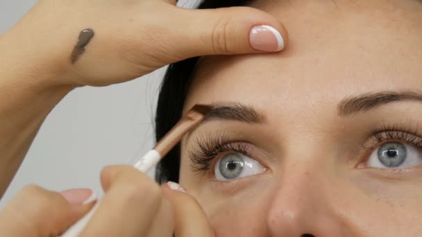 Corrección de cejas usando cejas especiales y sombra de ojos de cepillo. Maquillaje artista aplica maquillaje a hermosa modelo. Profesional de alta moda . — Vídeo de stock