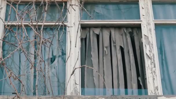 Зовнішній вигляд старого покинутого вікна з сухими гілками і рваними шторами — стокове відео