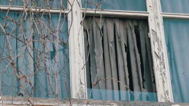 Внешний вид старого заброшенного окна с сухими ветками и рваными занавесками — стоковое видео