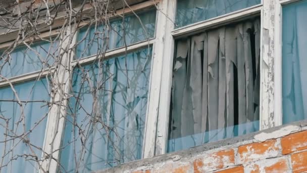 Vieja ventana abandonada con ramas de árbol y cortinas andrajosas — Vídeo de stock