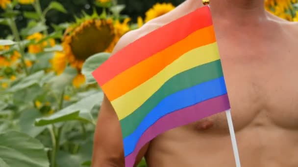 Atletisk man med vackra muskler håller en regnbåge Gay stolthet Lgbt flagga i händerna symbol för okonventionell orientering, mot bakgrund av blommande solrosor på sommaren — Stockvideo