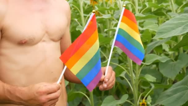 Cuerpo deportivo de hombre atlético con hermosos músculos sostiene un arco iris orgullo gay bandera LGBT en sus manos símbolo de orientación no convencional, contra los girasoles en flor en verano — Vídeo de stock